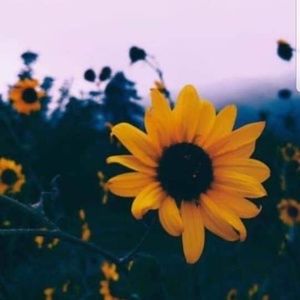 Meet your Posher, Jacquie